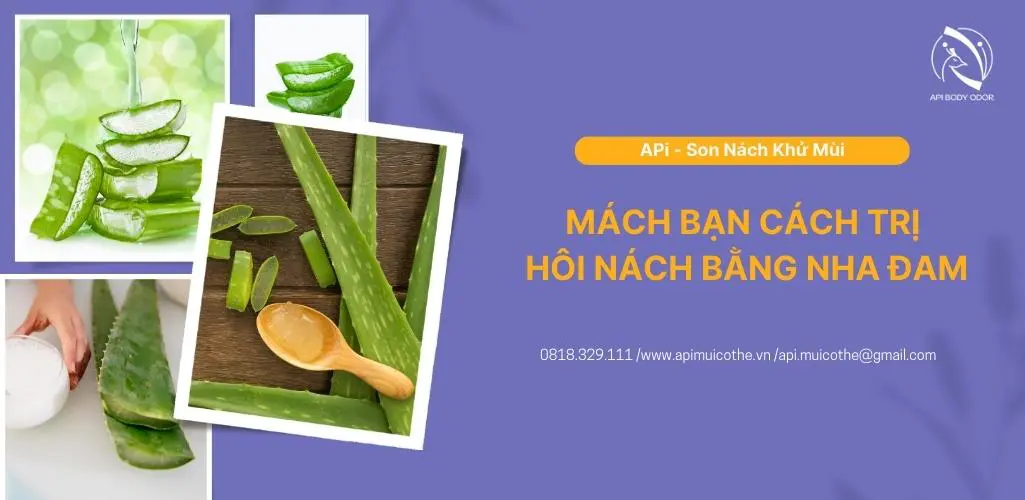 Bật mí cho bạn cách trị hôi nách bằng nha đam đơn giản tại nhà