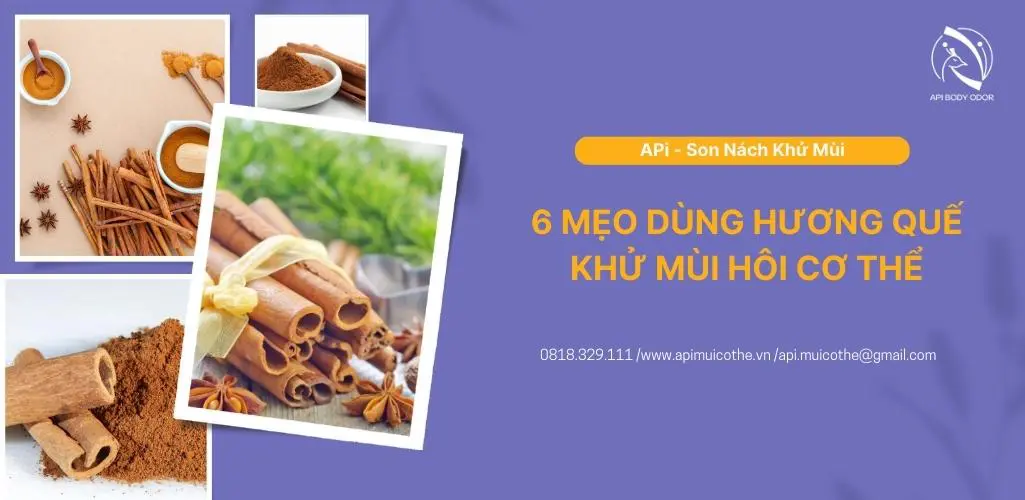 6 mẹo dùng hương quế khử mùi cơ thể cho bạn tự tin khoe cá tính